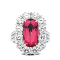 Mia R-0268 - Steven Kirsch